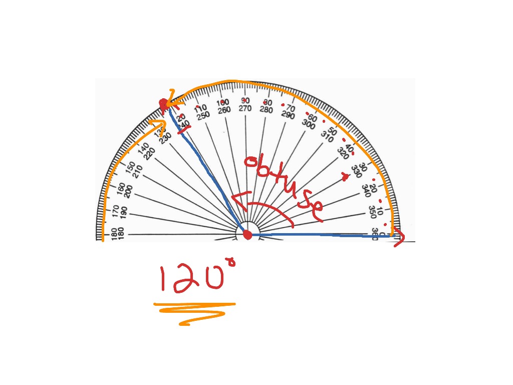 What is a protractor postulate?